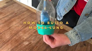 Model Lung I Wise Wonders Kitchen Edition