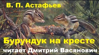 В. П. Астафьев. Бурундук на кресте. Читает Дмитрий Васянович