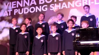 Blue Danube / Vienna Boys Choir