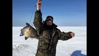 Зимняя рыбалка. Стая леща подо льдом.