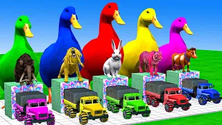 5 Giant Duck, Mammoth, Buffalo, Lion, Monkey, Dinosaur, Cow, Sheep Transfiguration funny animal 2023