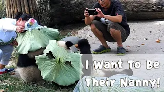 I Want To Be Their Nanny! | iPanda