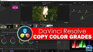 DaVinci Resolve - Copy Color Grades to Other Clips or Full Timeline FAST