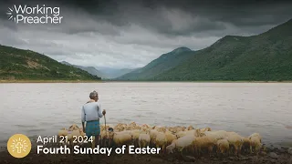 Sermon Brainwave 961: Fourth Sunday of Easter - April 21, 2024