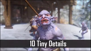 Skyrim: Yet Another 10 Tiny Details That You May Still Have Missed in The Elder Scrolls 5 (Part 21)