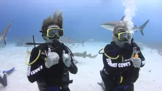 Stuart Cove's Shark Dive -Nassau, Bahamas -  January 18, 2016