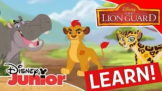 Learning the Animals 🦁 | The Lion Guard | Disney Junior Arabia