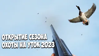 Открытие сезона охоты на утку и гуся. Весна 2023