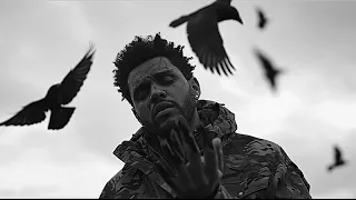 The Weeknd - The Birds - Part 2 (Music Video)