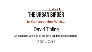 In Conservation With… David Tipling