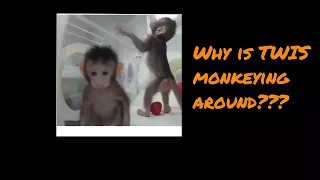 Science Monkeys - This Week in Science Podcast (TWIS) - Episode 655