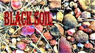 THERE'S AGATES EVERYWHERE - Black Soil Area | Liz Kreate