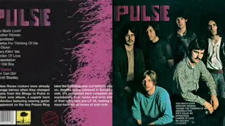 🎸PULSE Another Woman 1969 US psychedelic rock