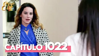 Elif Quinta Temporada Capítulo 1022 | Elif Capítulo 1022