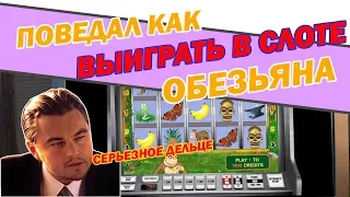 Dima Казино Cabanock поведал как выиграть в казино Вулкан в слот Обезьяна