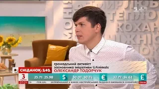 Штрафи за жорстоке поводження з тваринами – громадський активіст Олександр Тодорчук