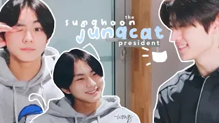 sunghoon the jungcat president