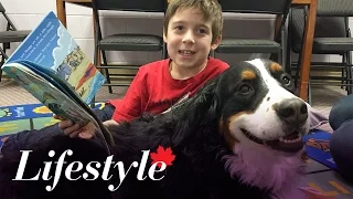 Kids reading to dogs