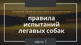 Правила испытаний легавых собак (часть 1)