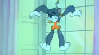 Tom and Jerry | The Zoot Cat 1944 | Clip 03