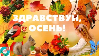 Здравствуй, Осень! Поздравление с первым днем Осени! Музыкальная открытка !