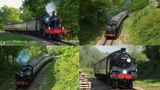 Bluebell Railway 'Branch Line Gala Weekend' 10th May 2024