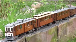 LGB Akku/RC BKB Echtdampf Gartenbahn - Ein Zug in Teak und Mahagoni