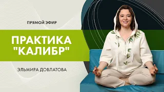 Практика "Калибр" с Эльмирой Довлатовой