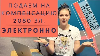 Финансовая помощь 2080 злотых. Что такое PUE ZUS, и как им пользоваться?