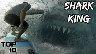 Top 10 Biggest Sharks In The World You Won't Believe