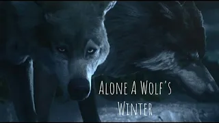 **Alone A Wolf's Winter** | Animated Short Film |
