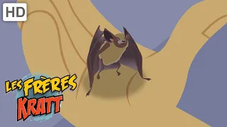 Les Frères Kratt |Une Chauve-Souris Dans Les Brownies| Saison 1