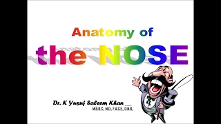 Anatomy of the NOSE || Dr. Yusuf ||