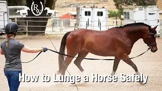 How to Lunge a Horse Safely