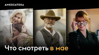 Что смотреть в мае (2024): Гарри Уайлд, Сын, Французская рулетка