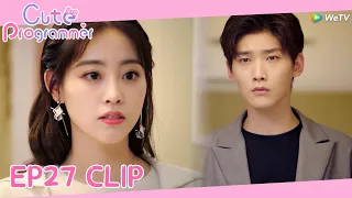 Cute Programmer | Clip EP27 | Mr.Lu said that Li's child belonged to him!!| WeTV [ENG SUB]