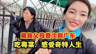 西藏姑娘带父母走遍全国，来到经济强省广东，一下飞机就怀疑人生