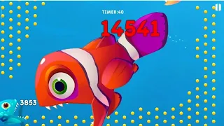 Hungry fish 🐟🐟🐠🐠 #fishdomminigame #minigame
