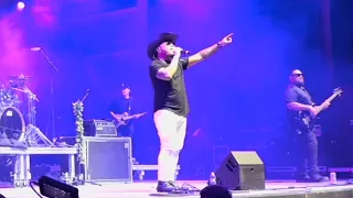 Maoli - you can have it all @holoholofest @MaoliMusic #live #2023 #california #concert #reggae