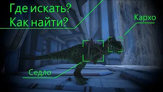 Carharodontosaurus Saddle | Седло на Кархородонтозавра