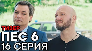 Сериал ПЕС 6 - 6 сезон - 16 серия - ТИЗЕР | СЕРИАЛЫ ICTV