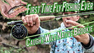 Native Wild Brook Trout in Small Creek is My First Ever Fish on a Fly!