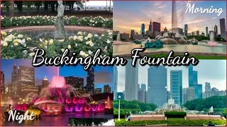 Buckingham fountain || Grand park  || buckingham fountain at night
