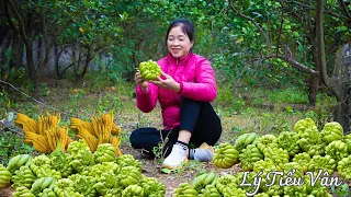 How to harvest Budha hand & Go to the Market -  Harvest, Selling & Cooking | Ly Tieu Van Daily Life