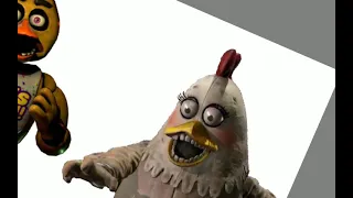 penny the chicken edit