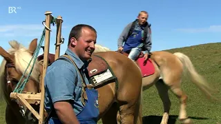 Unter unserem Himmel: Der Schlern und seine Almen Doku (2012)