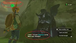 How to get MAX Hearts and Stamina in BOTW with Only 4 Shrines (Essence Duplication) Infinite Glitch.