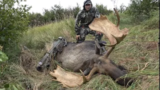 Archery Moose Hunt 2 YARD SHOT!!! - Stuck N the Rut 139