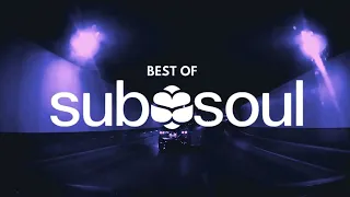 Best of SubSoul Mix 2024 | by Hot Bunnies (Tech House)