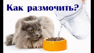 Можно ли размачивать сухой корм водой и натуралка для кошки. ВетОтвет